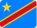 Global Software Democratic Republic Of Congo