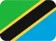 Global Software Tanzania